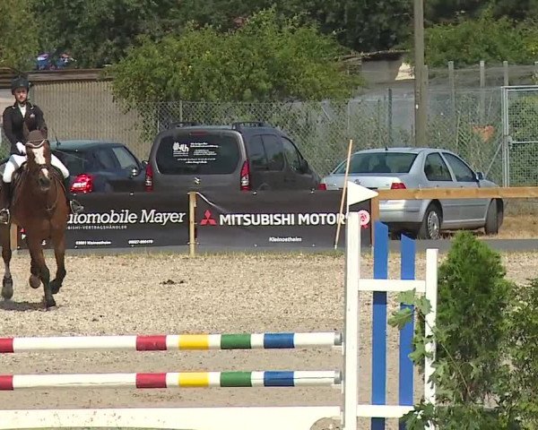 Reitturnier Kleinostheim/Ufr. 2019