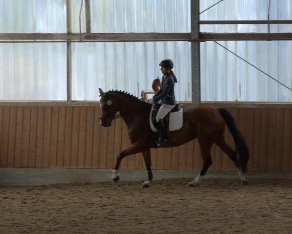 Reitturnier Herbern 2019