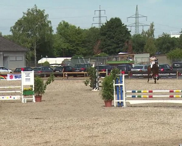 Reitturnier Kleinostheim/Ufr. 2019