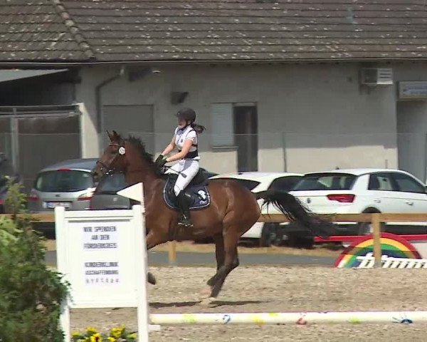 Reitturnier Kleinostheim/Ufr. 2019