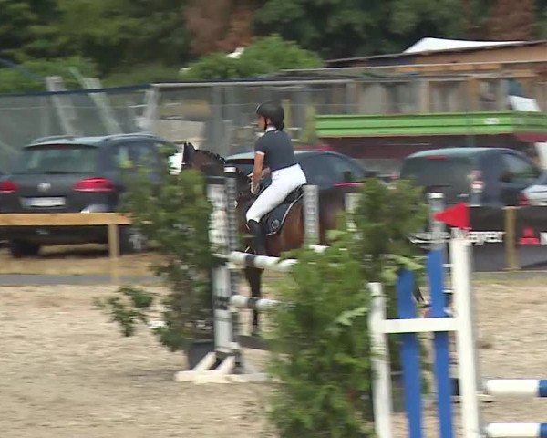 Reitturnier Kleinostheim/Ufr. 2019