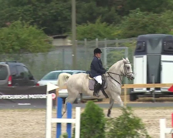 Reitturnier Kleinostheim/Ufr. 2019