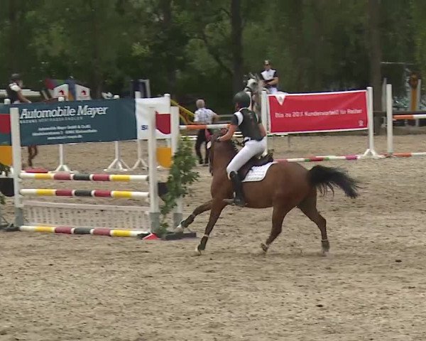 Reitturnier Kleinostheim/Ufr. 2019