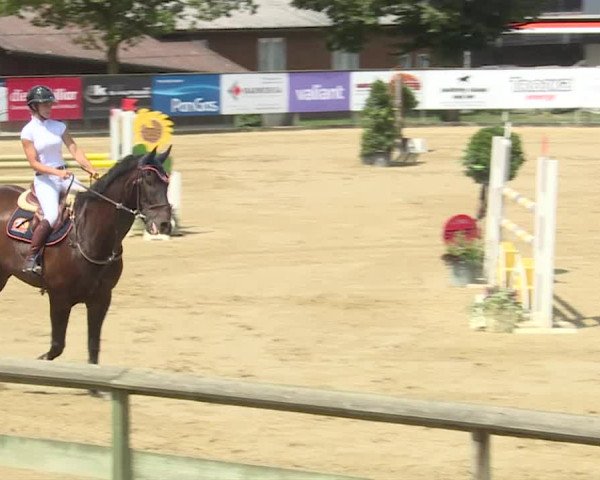 Reitturnier Dagmersellen 2019