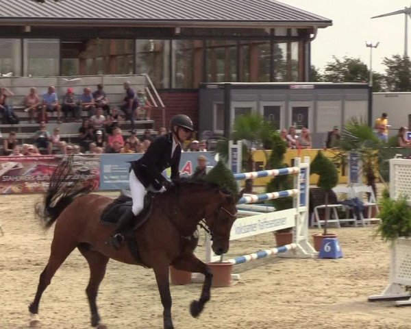Reitturnier Hörup 2019