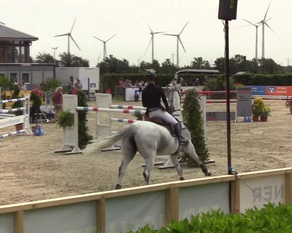 Reitturnier Hörup 2019