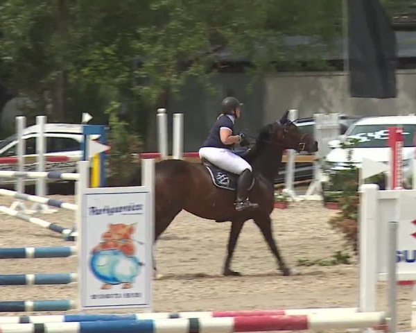 Reitturnier Kleinostheim/Ufr. 2019
