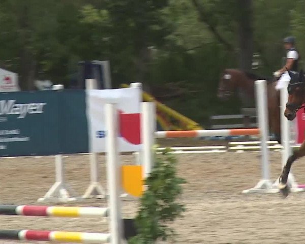 Reitturnier Kleinostheim/Ufr. 2019