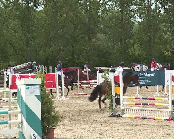 Reitturnier Kleinostheim/Ufr. 2019