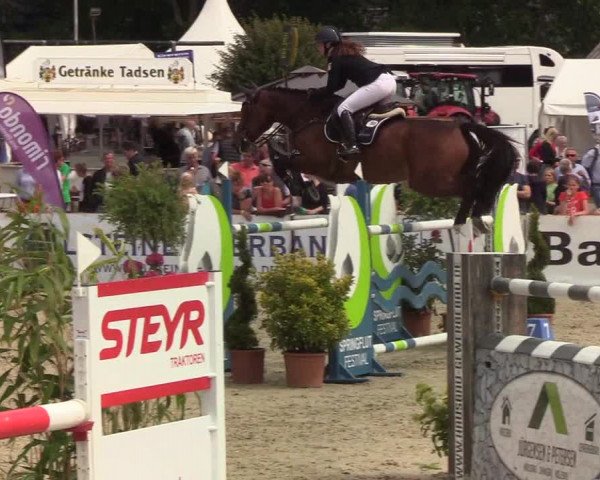 Reitturnier Hörup 2019