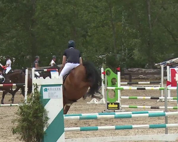 Reitturnier Kleinostheim/Ufr. 2019