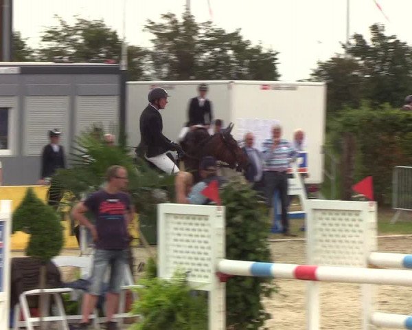 Reitturnier Hörup 2019