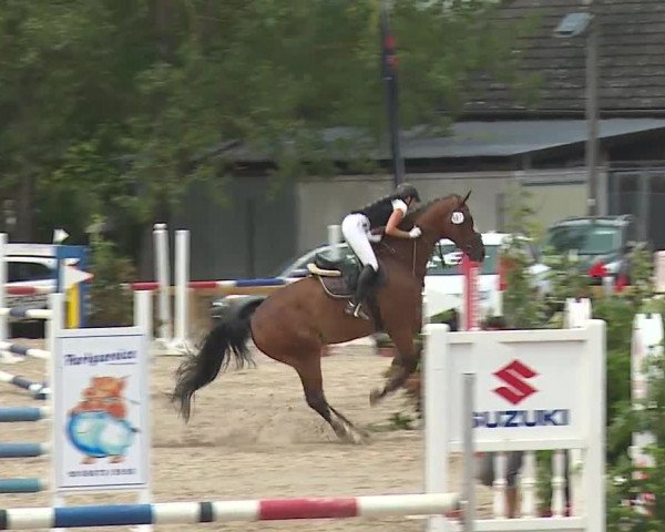 Reitturnier Kleinostheim/Ufr. 2019