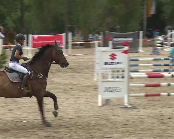 Reitturnier Kleinostheim/Ufr. 2019