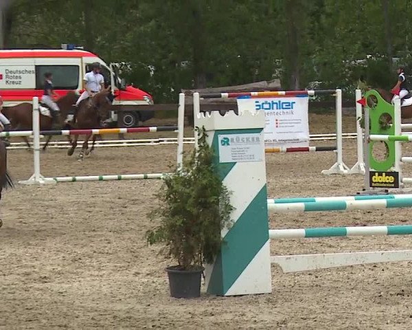 Reitturnier Kleinostheim/Ufr. 2019