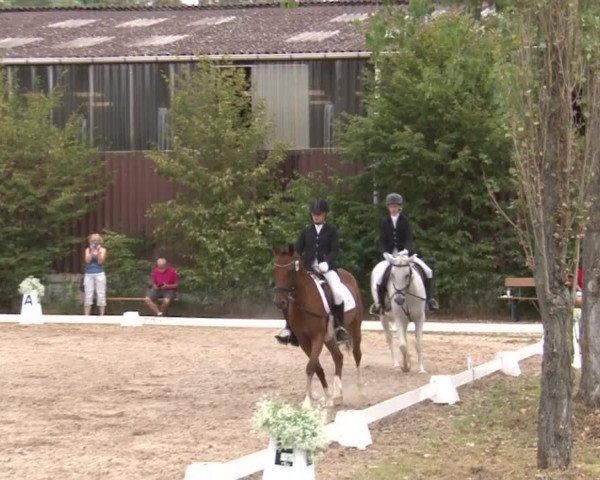 Reitturnier Kleinostheim/Ufr. 2019