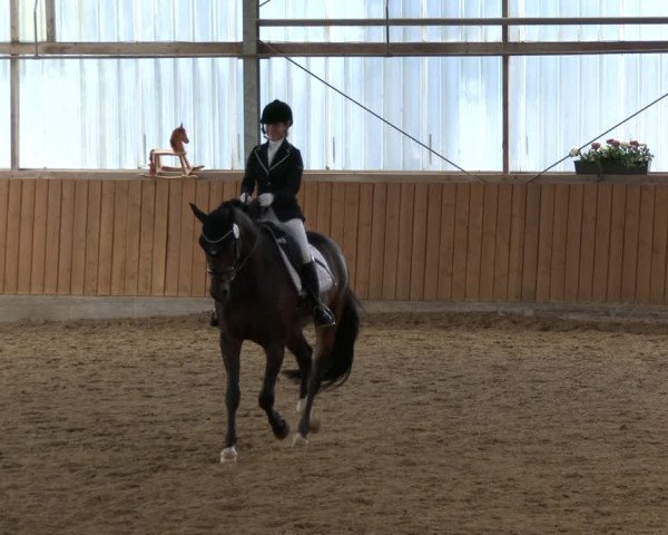 Reitturnier Herbern 2019