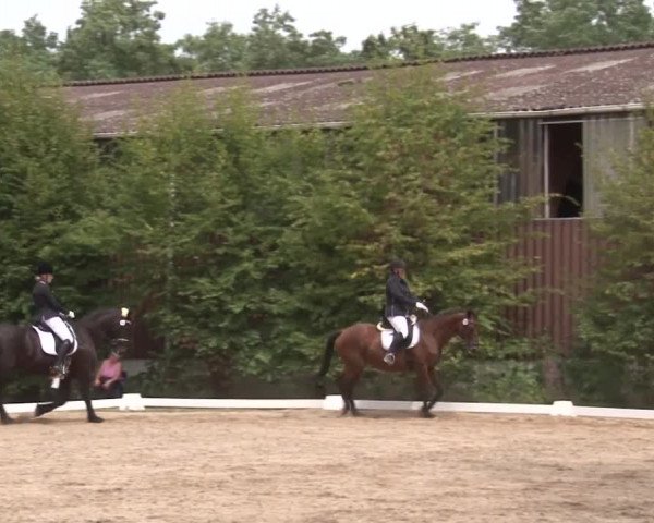 Reitturnier Kleinostheim/Ufr. 2019
