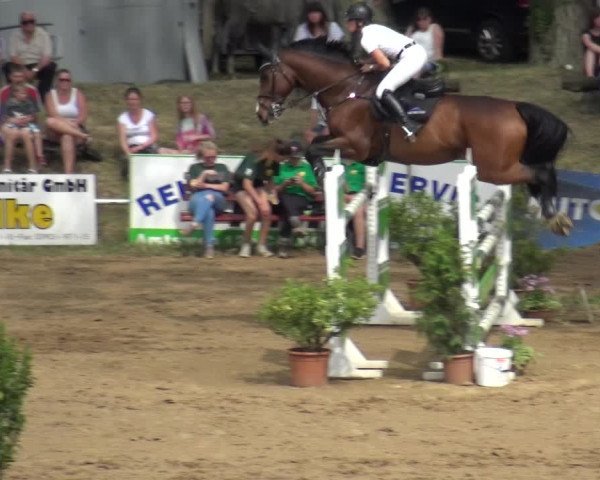 Reitturnier CSN Calvörde 2019