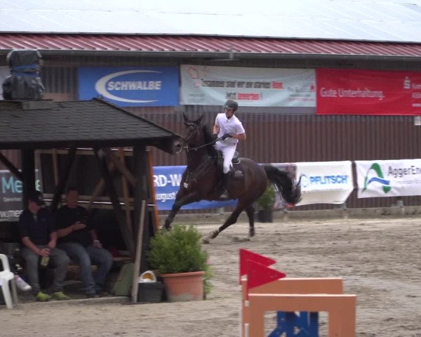 Reitturnier Marienheide-Kempershöhe 2019