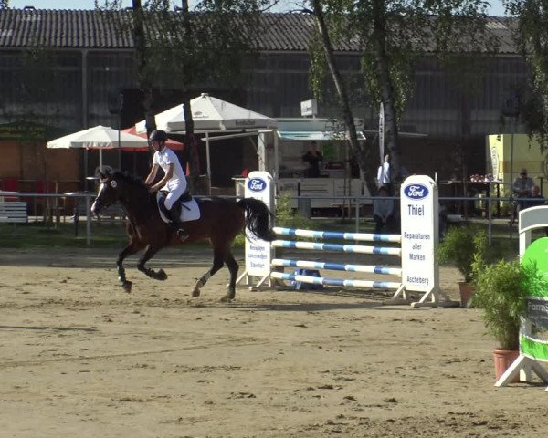 Reitturnier Herbern 2019