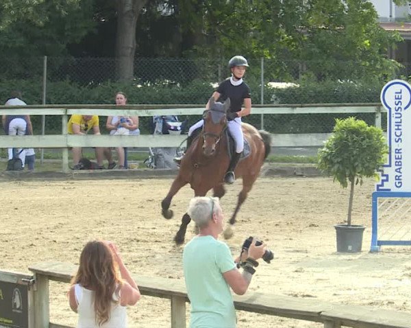 Reitturnier Dagmersellen 2019
