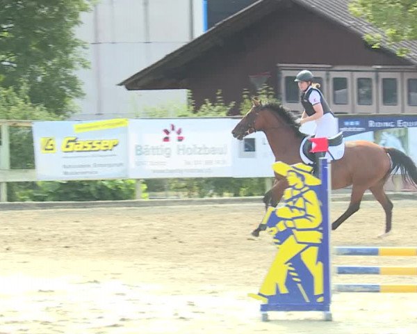 Reitturnier Dagmersellen 2019