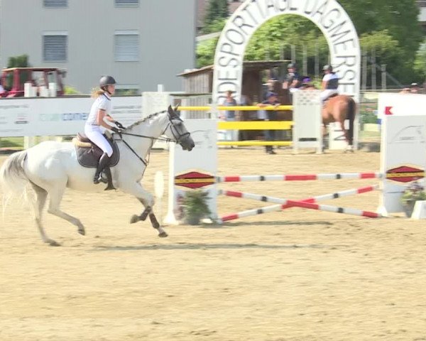 Reitturnier Dagmersellen 2019