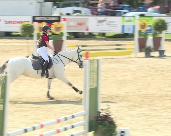 Reitturnier Dagmersellen 2019