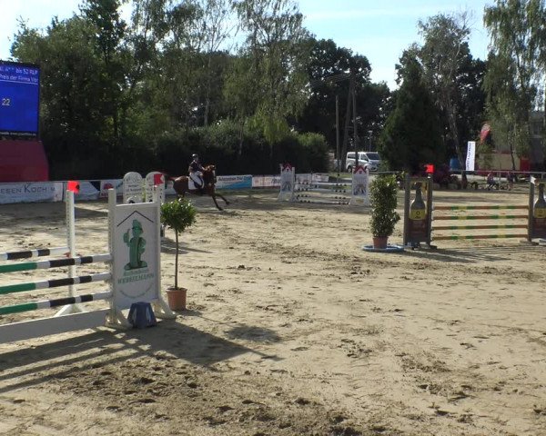 Reitturnier Herbern 2019