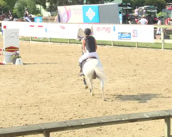 Reitturnier Dagmersellen 2019