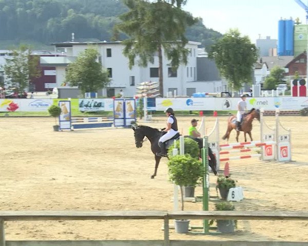 Reitturnier Dagmersellen 2019