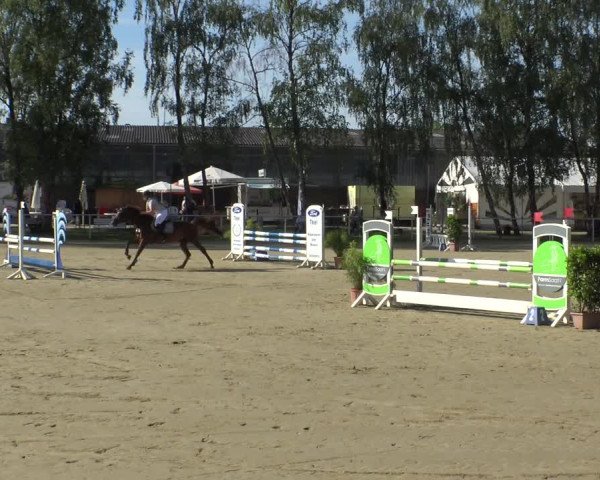 Reitturnier Herbern 2019