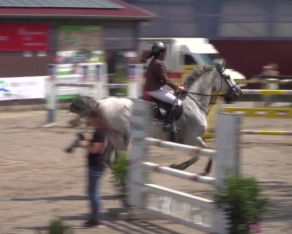 Reitturnier Marienheide-Kempershöhe 2019