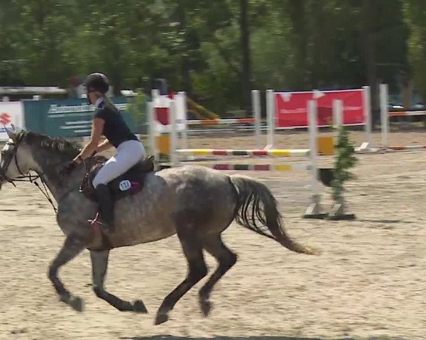 Reitturnier Kleinostheim/Ufr. 2019