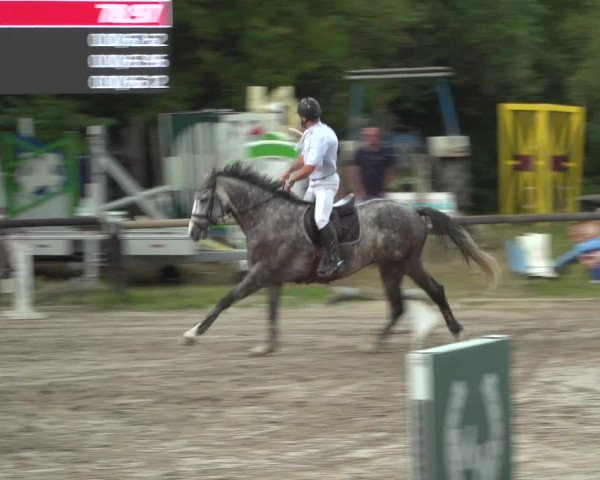 Reitturnier Marienheide-Kempershöhe 2019