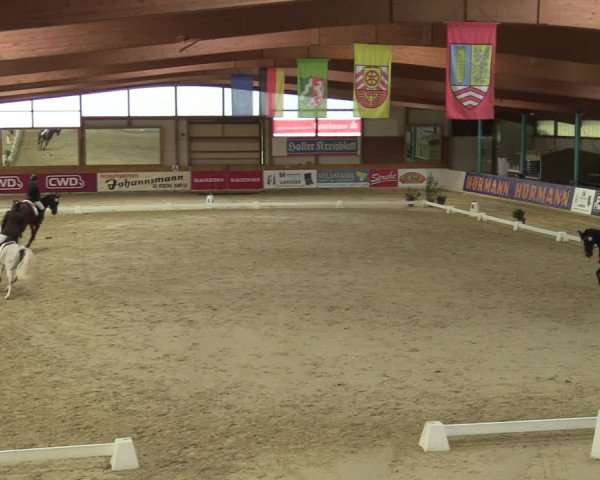 Steinhagen Classics 2021