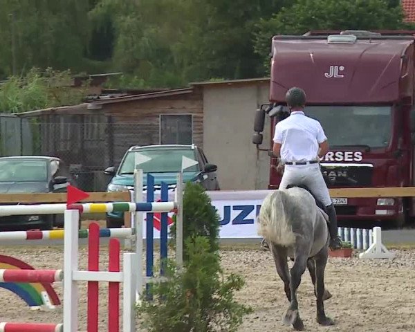 Reitturnier Kleinostheim/Ufr. 2019