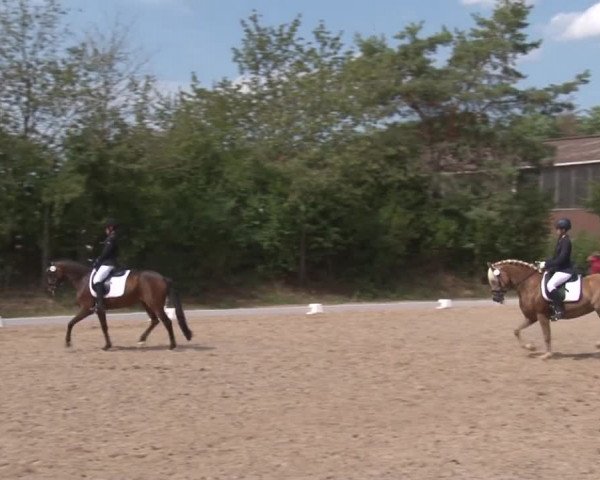 Reitturnier Kleinostheim/Ufr. 2019