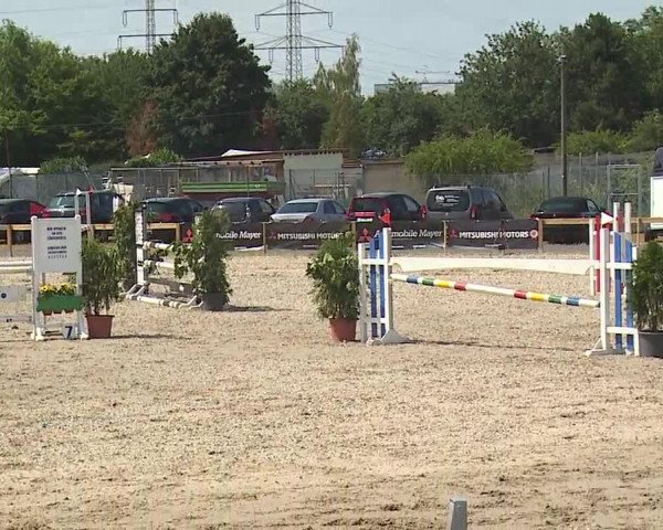 Reitturnier Kleinostheim/Ufr. 2019