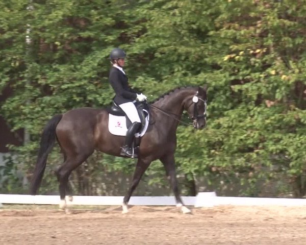 Reitturnier Kleinostheim/Ufr. 2019