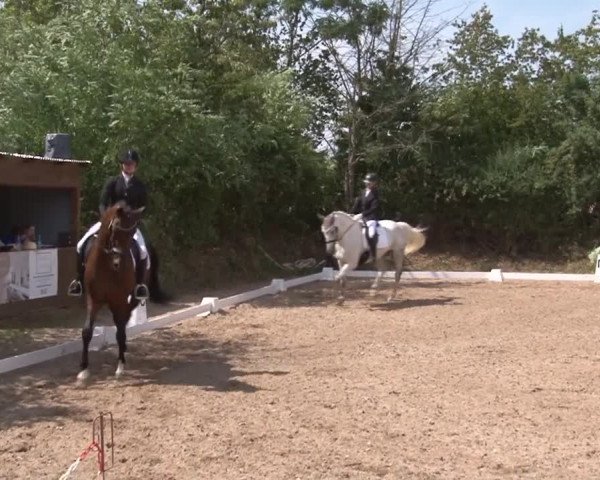 Reitturnier Kleinostheim/Ufr. 2019