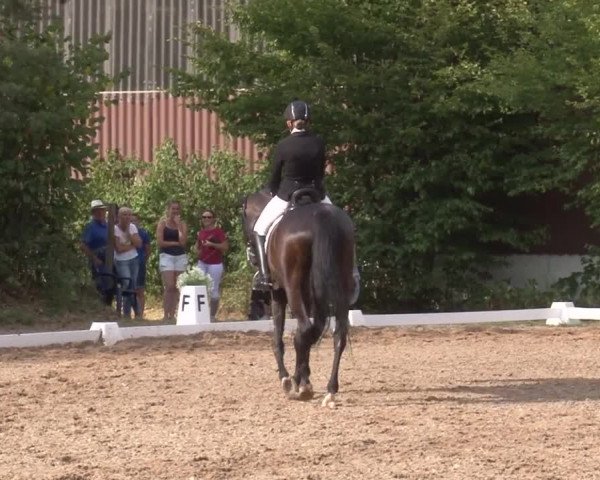 Reitturnier Kleinostheim/Ufr. 2019