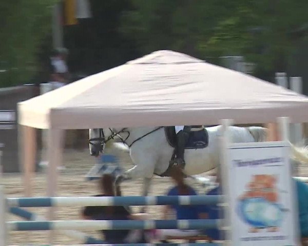 Reitturnier Kleinostheim/Ufr. 2019