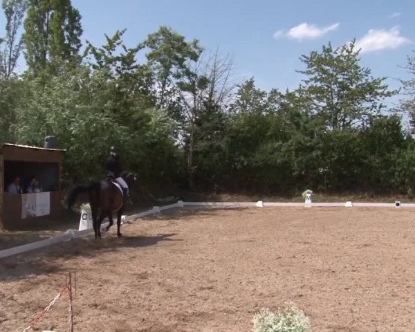 Reitturnier Kleinostheim/Ufr. 2019