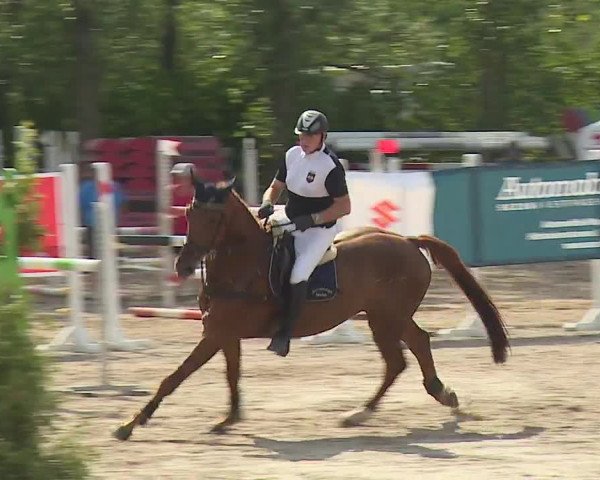 Reitturnier Kleinostheim/Ufr. 2019