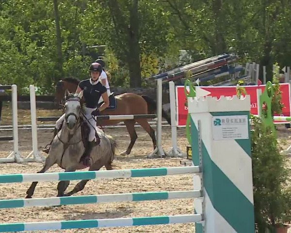 Reitturnier Kleinostheim/Ufr. 2019