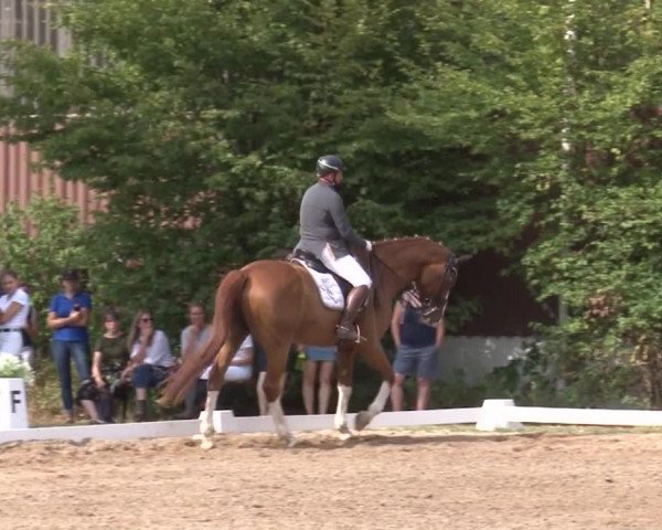 Reitturnier Kleinostheim/Ufr. 2019