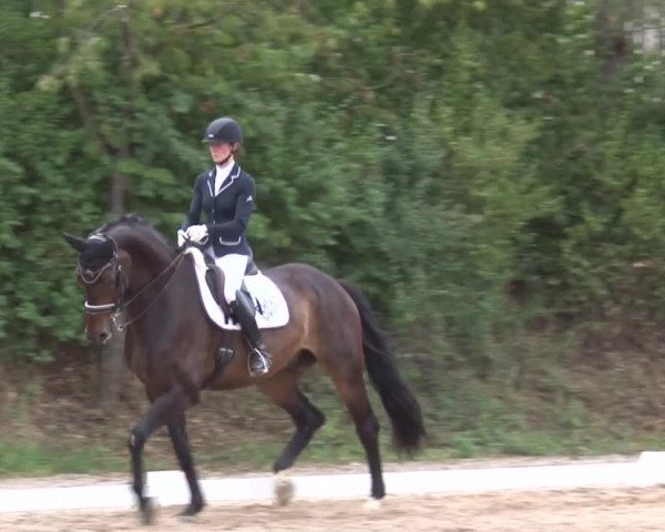 Reitturnier Kleinostheim/Ufr. 2019