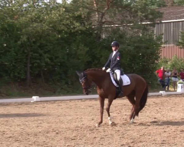 Reitturnier Kleinostheim/Ufr. 2019